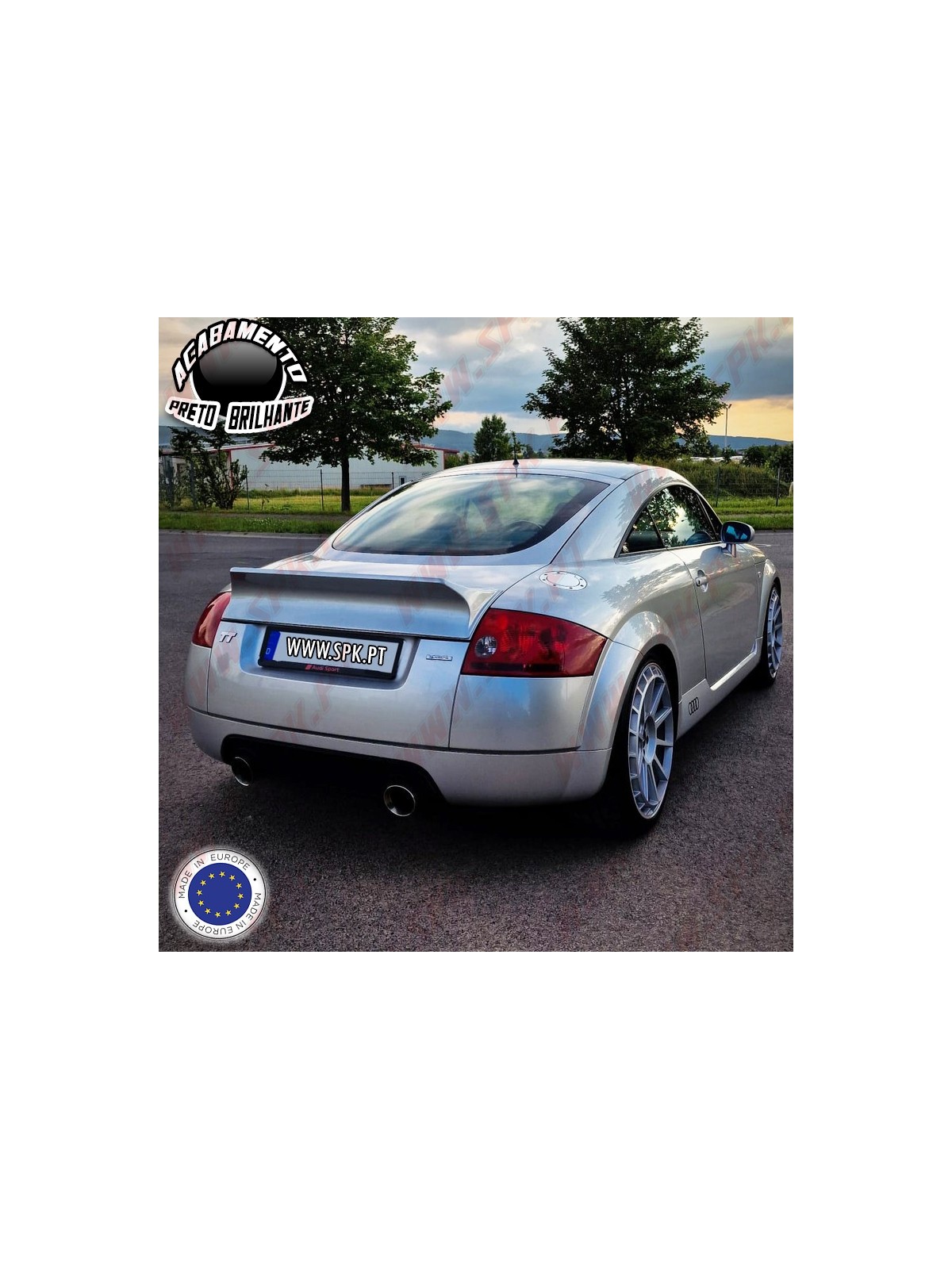 Aileron Traseiro Look Ducktail - Audi TT 8N (1998-2006)