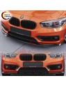 Lip Spoiler Frontal BMW F20 / F21 LCI (2015-2019)