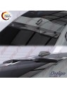 Aileron Traseiro Superior - Polestar 2 (2020-) Aileron Traseiro Superior - Polestar 2 (2020-)